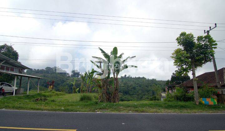 TANAH DI JALAN INDUK UTAMA DENPASAR SINGARAJA 1