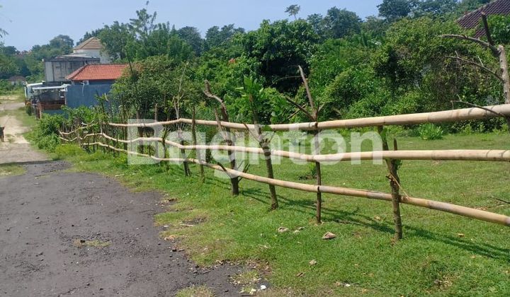 Lahan Di Kawasan Wisata Pantai Pandawa