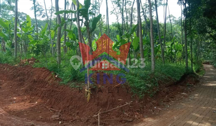 Dijual Cepat Tanah Gunung Pati Semarang 2