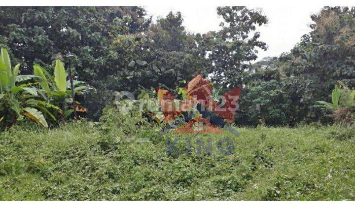 Tanah di Jangli Tlawah 1