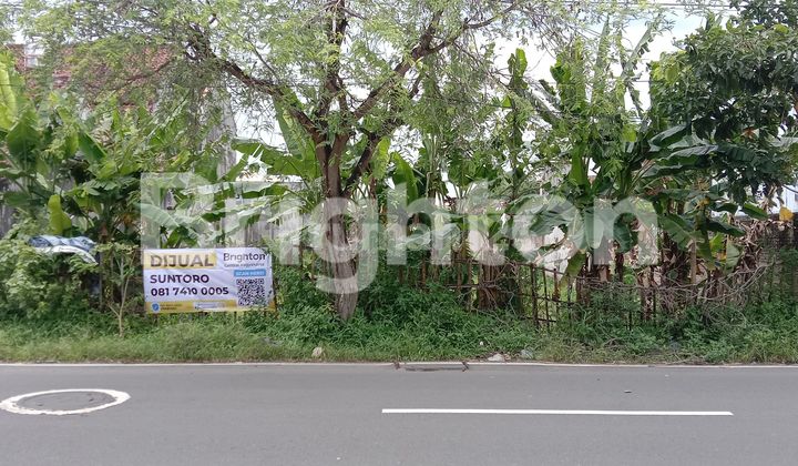 TANAH LUAS PINGGIR JALAN ASPAL DEKAT XT SQUARE JOGJA