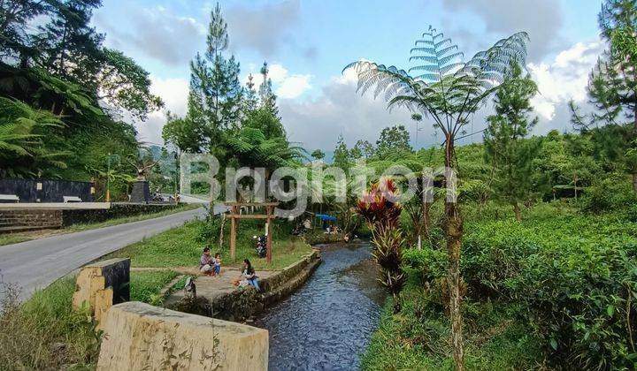 TANAH DI KEMUNING COCOK UNTUK RESTO TAMPAK 3 MUKA 1