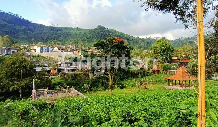 TANAH DI KEMUNING COCOK UNTUK RESTO TAMPAK 3 MUKA 2