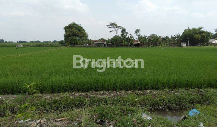 TANAH MURAH LOKASI STRATEGIS DI GUDO JOMBANG 1