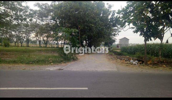 TANAH MURAH LOKASI STRATEGIS DI GUDO JOMBANG 2