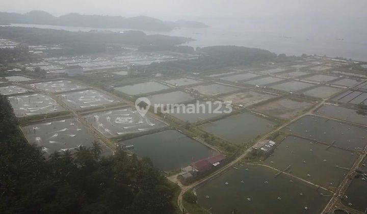 Tambak dekat pantai -  Padang Cermin 1