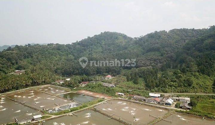 Tambak dekat pantai -  Padang Cermin 2