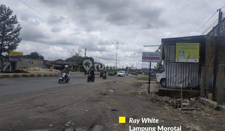 Tanah Sertifikat Hak Milik 4.525 m² Kedaton Bandar Lampung 2