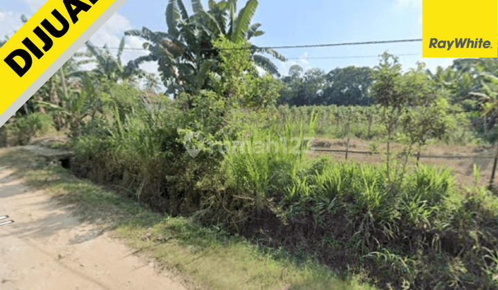 Tanah Murah di Karang Anyar 1