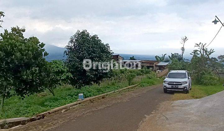 Butuh Cepat Laku! Tanah Selangkah Ke Kampus Kedokteran UIN Malang 1