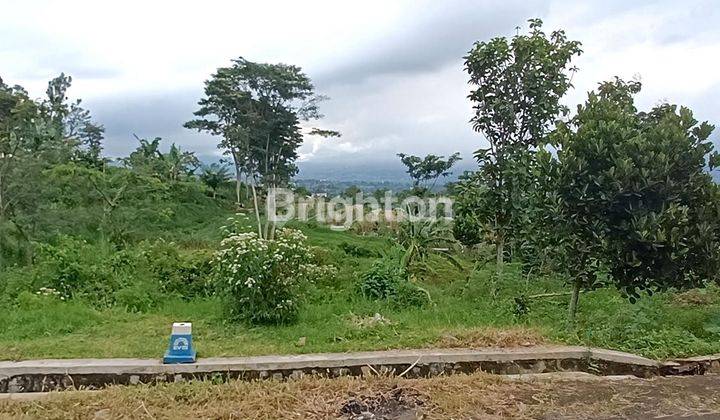 Butuh Cepat Laku! Tanah Selangkah Ke Kampus Kedokteran UIN Malang 2