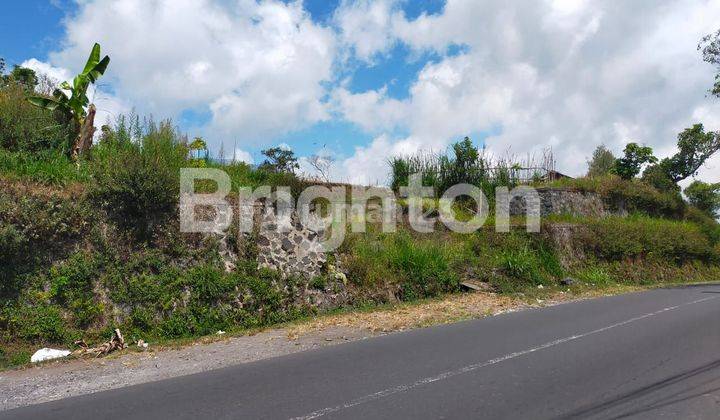 LAND LOCATION KINTAMANI MOUNTAIN N LAKE VIEW VERY STRATEGIC 2