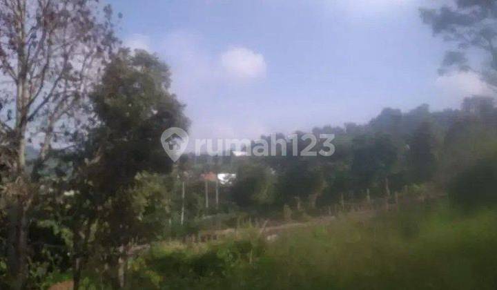 Pageurmaneuh, Puncrut, Lembang. Tanah Di Bandung Utara, Bandung