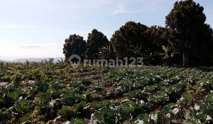 TANAH VIEW BAGUS KOTA BANDUNG DI PADASUKA ATAS, CIKUTRA, BANDUNG UTARA, BANDUNG TANAH VIEW BAGUS KOTA BANDUNG DI PADASUKA ATAS, CIKUTRA, BANDUNG UTARA, BANDUNG