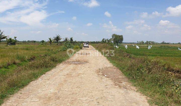 Tanah Produktif Cocok Untuk Tambak, Perkebunan Di Harapan Jaya Bekasi 2