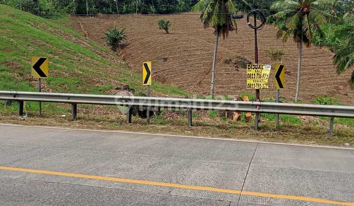 Tanah 8 Ha di Pinggir Jalan Bakauheni Lampung