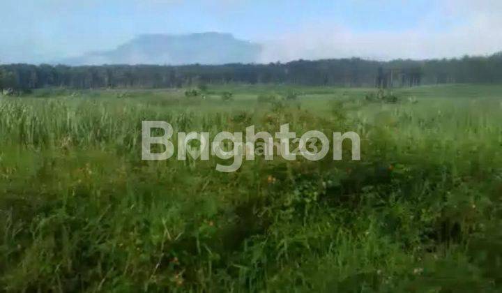 BCL View Istimewa Gunung Arjuno !! Tanah Termurah Singosari Cocok Buat Semua Usaha 1