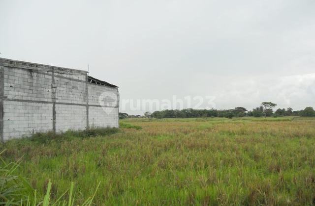 Dijual Tanah/ Kavling Kampung Bagawati, Dekat Gudang/ Pabrik, Daerah Pengembangan Kota Serang Dijual Tanah/ Kavling Kampung Bagawati, Dekat Gudang/ Pabrik, Daerah Pengembangan Kota Serang