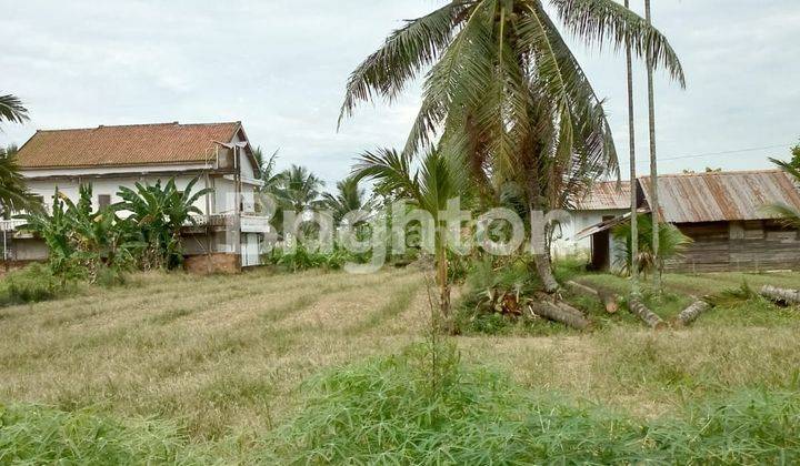 TANAH TALANG JERING 1