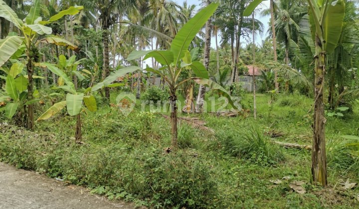 Residential Land in Kulon Progo DIY Yogyakarta S6451 Residential Land in Kulon Progo DIY Yogyakarta S6451