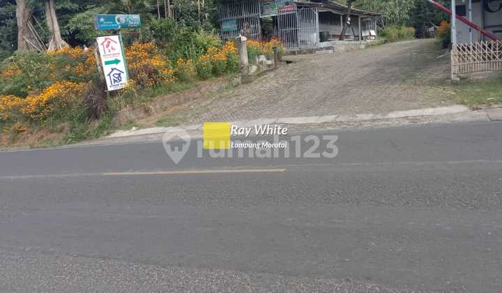 Tanah dan Cepat Tanah dan Cepat