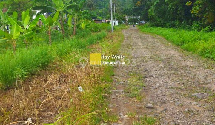 Tanah Perkebunan Nego Dekat ASir Terjun ay 1