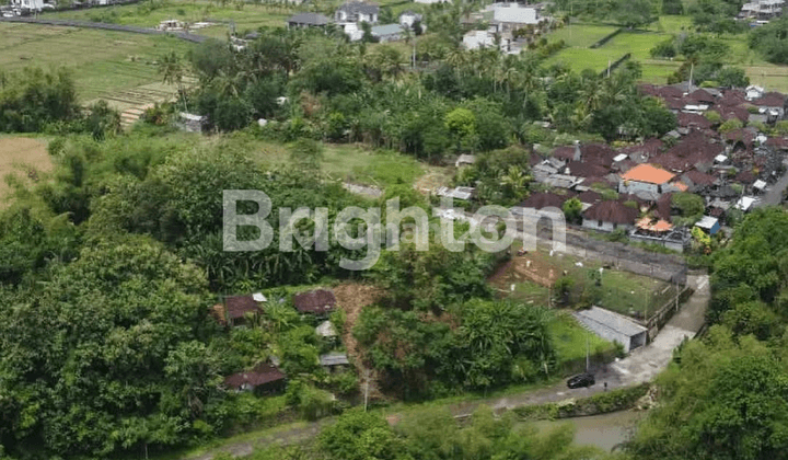 Los Sungai Premium Land on Kedungu Beach Bali. 2