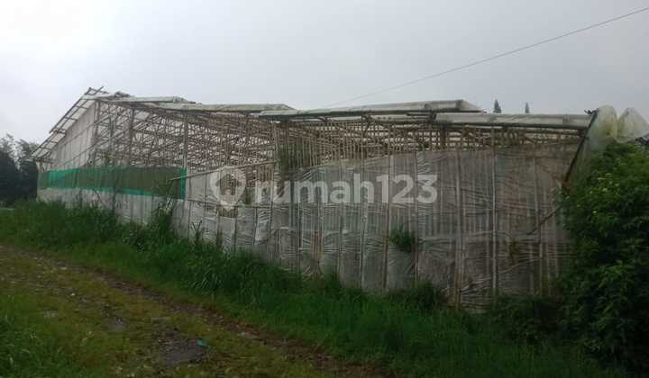 Tanah di Lembang cocok untuk Usaha atau Perumahan JARANG ADA !