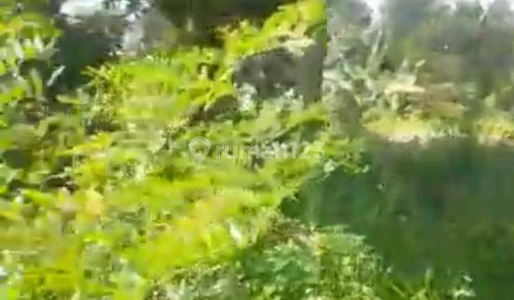 Tanah Desa Tajur Halang Kec Cijeruk Kab Bogor 2