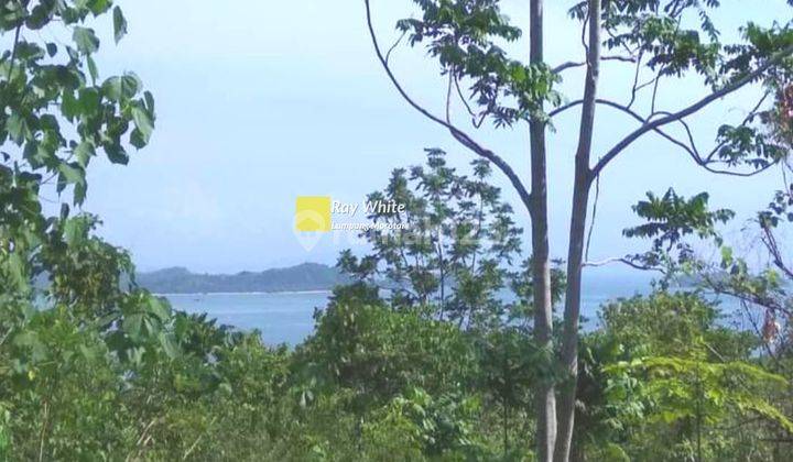 Cepat Tanah Dekat Pantai Punduh Pidada 2