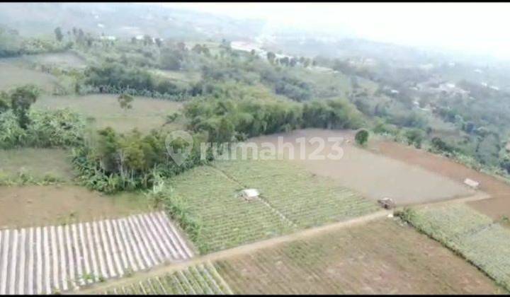 Di Jual Lahan Datar Bagus di Pancawati, Caringin, Bogor Strategis Di Jual Lahan Datar Bagus di Pancawati, Caringin, Bogor Strategis