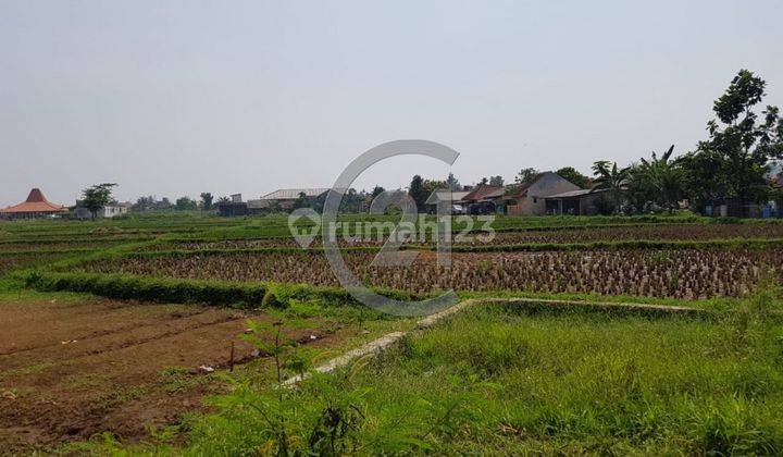 TURUN HARGA! Kavling Di Desa Ciherang 2
