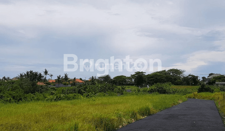 Land near Munggu beach, Mengwi Badung Bali.  • only 500 meters from Munggu Beach Bali 1