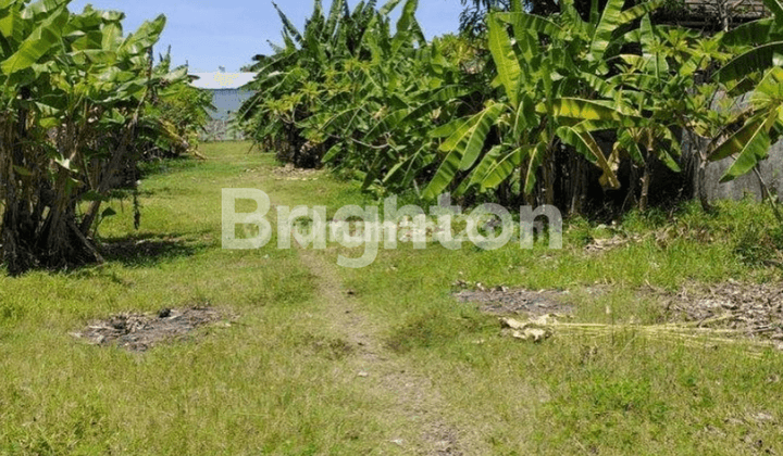 Cheap Land Near Bali Mandara Sanur Bali Hospital 2