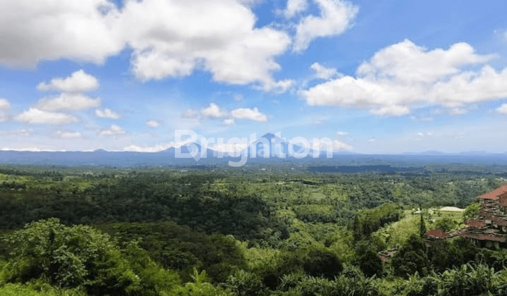 Tanah dengan view indah di Jl Raya Baturiti Bedugul, Bali  Cocok untuk perkebunan strawberry, glamping, Obyek wisata, penginapan & rest area konsep terasering 2