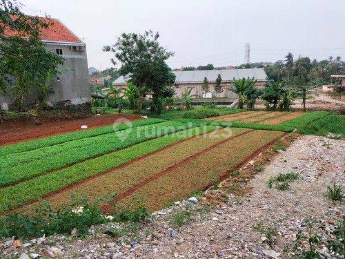 Tanah Wilayah Stadion Haji Abdul Malik Luasan Ideal 2