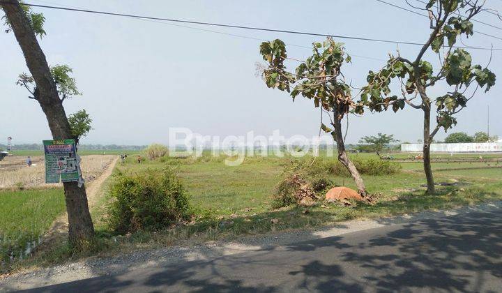 TANAH PEKARANGAN SIAP BANGUN DI MOJOWARNO JOMBANG 1