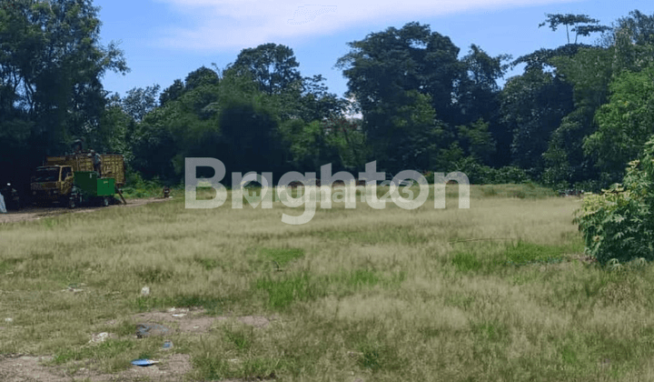 premium land on the main road of Canggu Bali. Only 500m to Echo Beach. 1