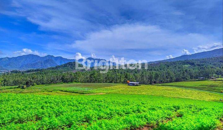 Tanah View Paling Keren di Kota Batu 1