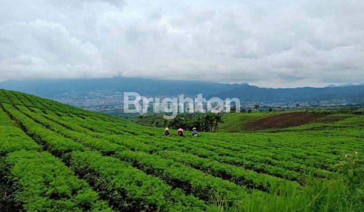 Termurah di Kota Batu! Tanah Dengan View Keren Abiz 1