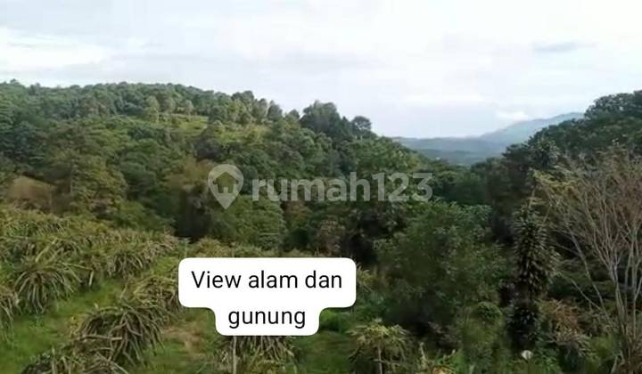 Kavling Dekat Wisata Taman Dan Kota Bunga Kebun Naga Cipanas 1