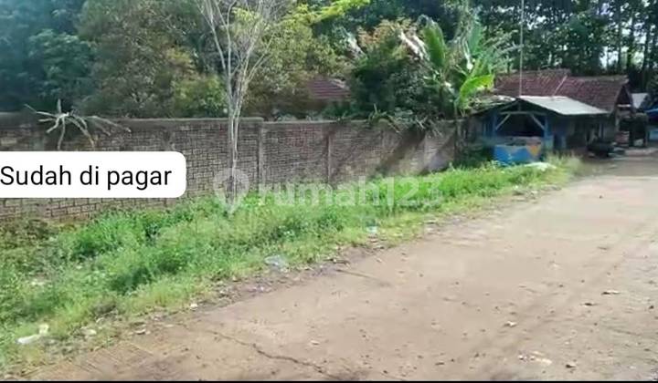 Kavling Dekat Wisata Taman Dan Kota Bunga Kebun Naga Cipanas 2
