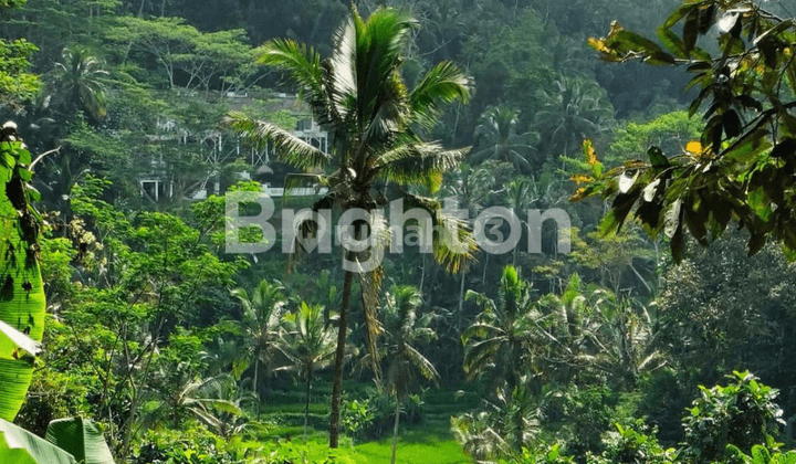 Tanah BUC view sawah terasiring khas tegalalang Ubud Bali 1