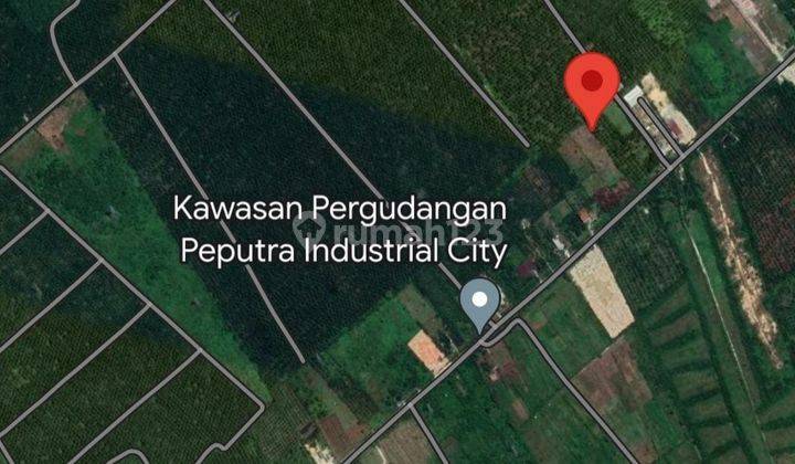 Tanah 1.3 ha di pasir putih, Kampar 1