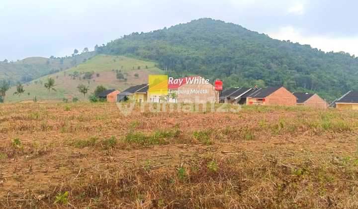 Tanah Pekarangan di Sabah Balau br