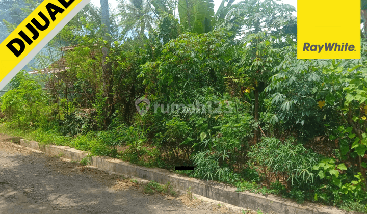 Tanah Murah di Rajabasa 1