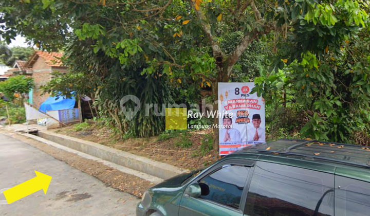 Tanah Murah untuk investasi lokasi kedamaian Bandar Lampung Tanah Murah untuk investasi lokasi kedamaian Bandar Lampung