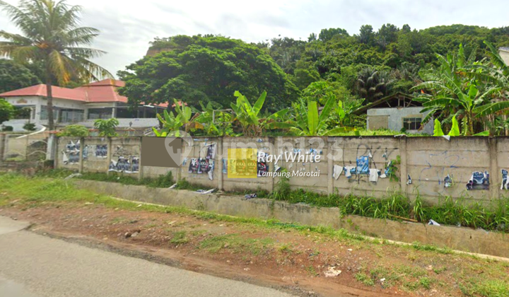 Tanah Murah Siap Bangun Di Tanjung Karang Timur Bandar Lampung Tanah Murah Siap Bangun Di Tanjung Karang Timur Bandar Lampung