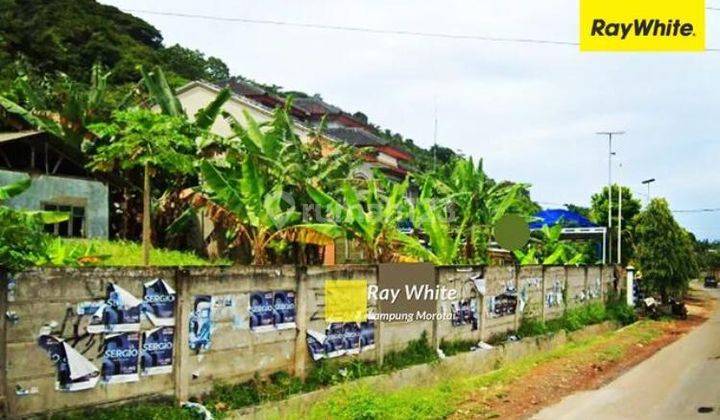 Tanah Luas di Kedamaian Tanjung Karang Timur 1