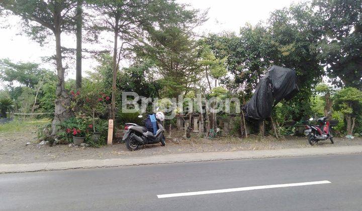 TANAH PEKARANGAN  SIAP BANGUN DI MOJOWARNO 1